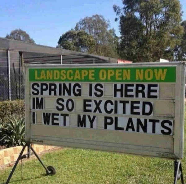 3647