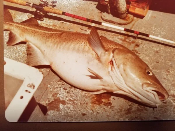 54coddeck.jpg