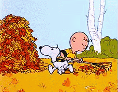 57E07AF9-30D0-4803-B99A-5A5BCEA9432F.gif