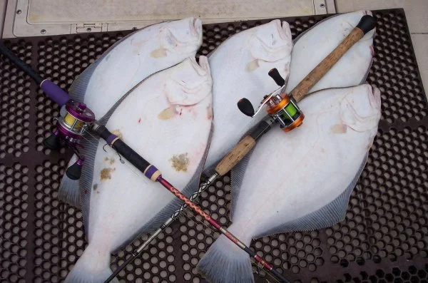6.19.2015 Angler Banks.webp