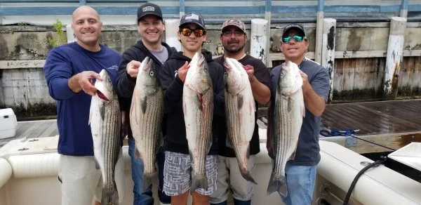 61222groupbass.webp