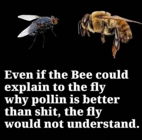 620B0F95-8AB7-4381-B7D6-341F8589F595.webp