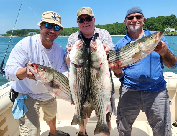 62125groupbass.webp