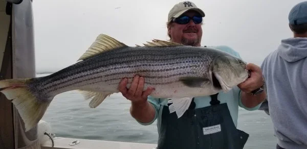 62422larrybass.webp