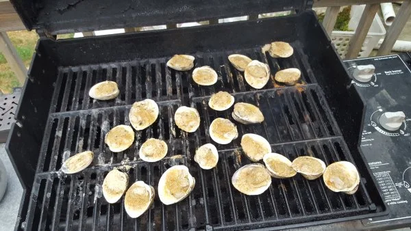 627 cnyclams.jpg