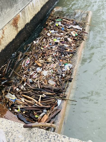 IMG_2350.webp