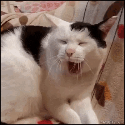 64941F54-E43F-4A2A-A123-E28B9AC931E2.gif