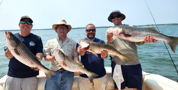 6625groupbass.webp