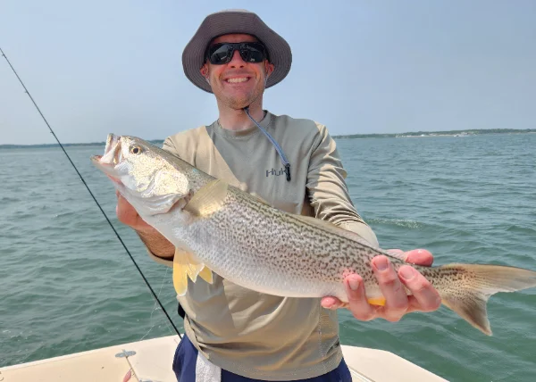 6625mattweakfish.webp