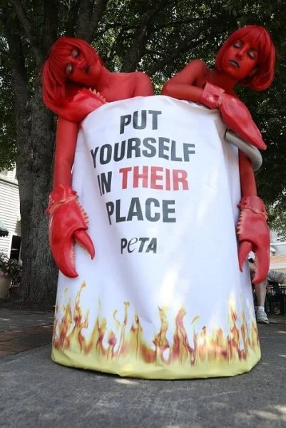 Maine-Lobster-Fest-Giant-Pot-Demo.webp
