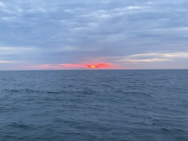 6ADD8E1F-BE74-4FA1-9772-A1ED39899364.webp