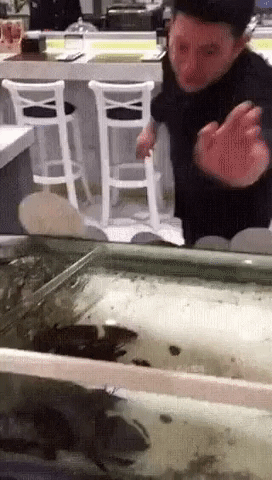 7.gif