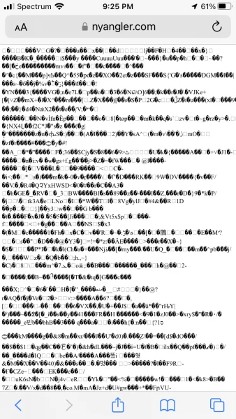 1699157755557.png