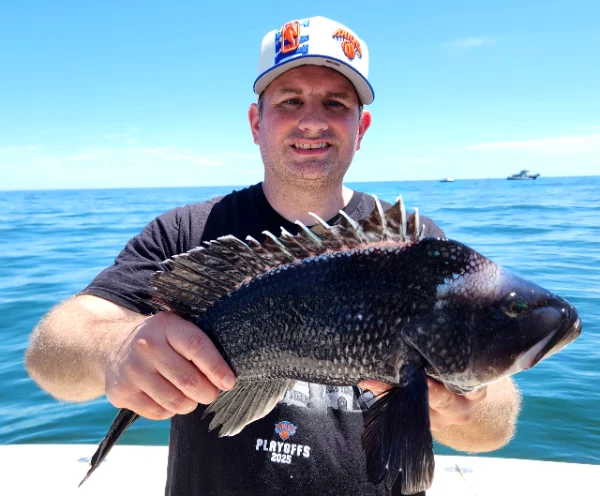 71925paulseabass.webp