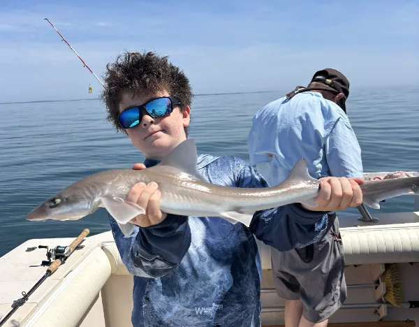 72026jakeshark.webp