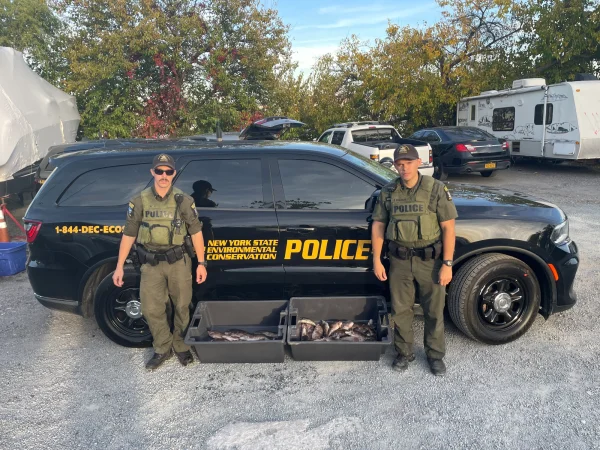 ECOs Keegan and Milliron with seized blackfish in Queens County.webp