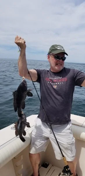 73122seabass.webp