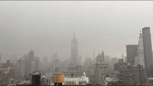 73808389-A795-4457-99F7-F1981FD8C196.gif