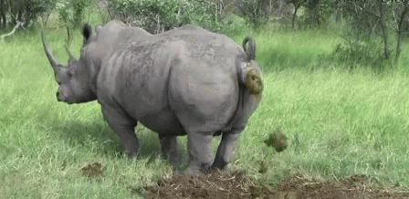 809DB293-6F3B-4CE3-B437-230F8A3B517E.gif
