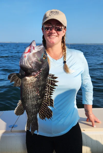 81125jennseabass.webp