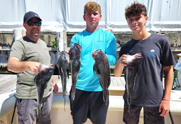 81224groupseabass.jpg
