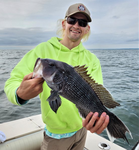82823davidseabass.jpg