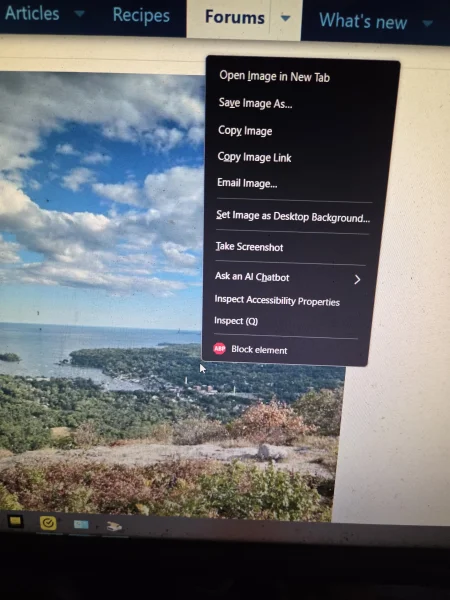 830snapper.webp