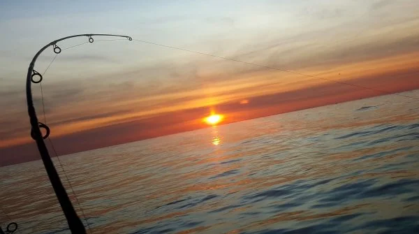 20190716_060450.webp