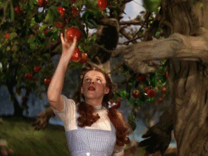 840F3FA5-5956-48C5-ABE2-738AA817E51E.gif
