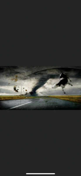 85C73A60-B4C5-427F-BB35-0234F53336DC.webp