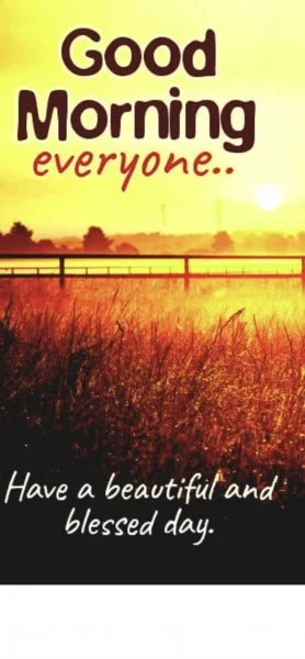 862D5815-A7E6-447A-BD68-DB9884B902C6.webp