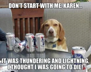 8232