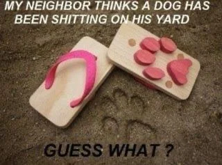 91179338-A897-4736-9EBB-7FA412BE6877.webp
