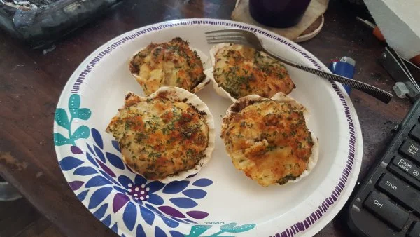 913clams.webp