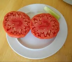 91E35F2F-9168-446F-8D78-D2B4DF9A0325.webp