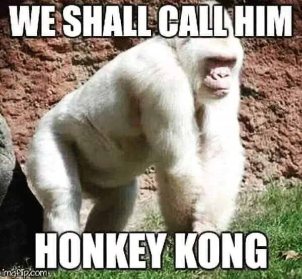 95801028_3171224786222931_6709047745975418880_n.jpg.6fd7c5a80589712de3493df749abe100.webp
