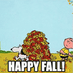 9AFA31FB-ED7A-4949-8667-CBB110C5B4E5.gif