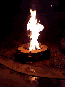AFECDC6B-9413-4F5D-AB87-008573A4A428.gif