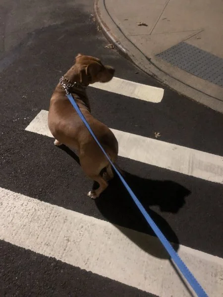 B023D2E7-0307-41AC-9D46-C38771FBDBC1.webp