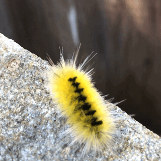B582436D-BB32-4155-A225-E8B2C7D8D23B.gif