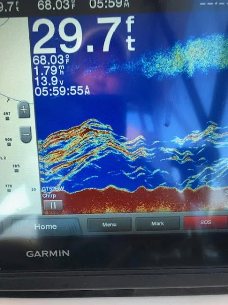 Bass on Screen 2.jpg