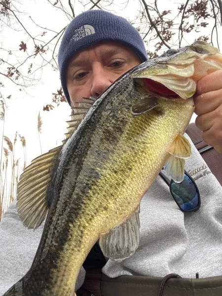 bass01222023.webp