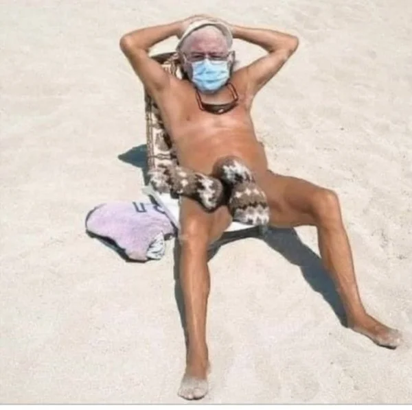 bernie 1.webp