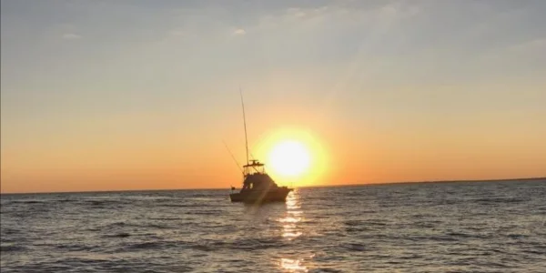 bertram sunset.webp