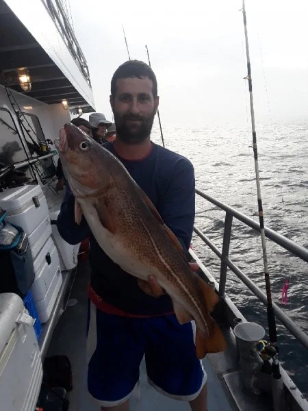 bhredcod.webp