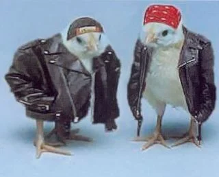biker-chicks.webp