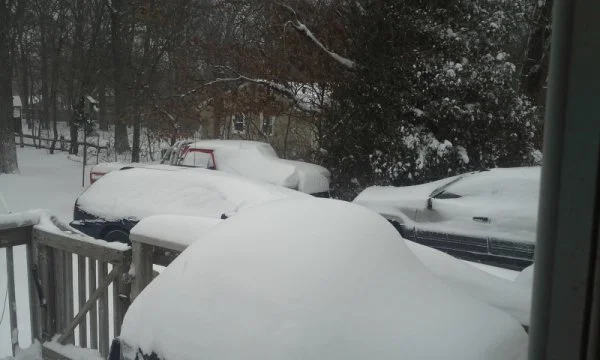 blizzard2015.webp