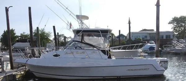 Boat 2019 (2).jpg