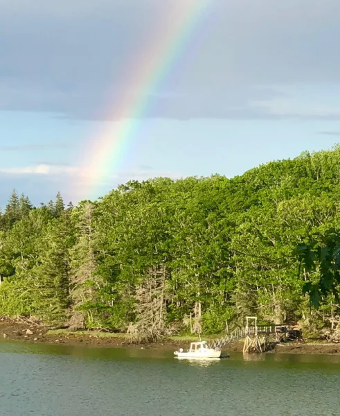 boat and rainbow.webp