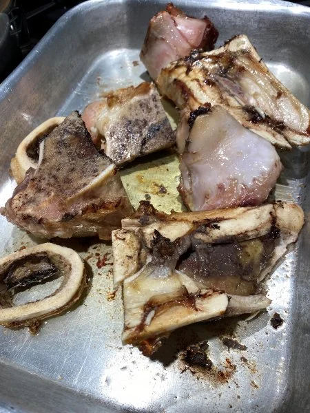 bones1.webp